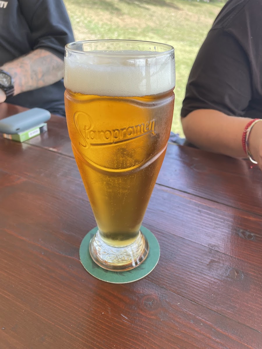 U Zlatého Vodníka-8